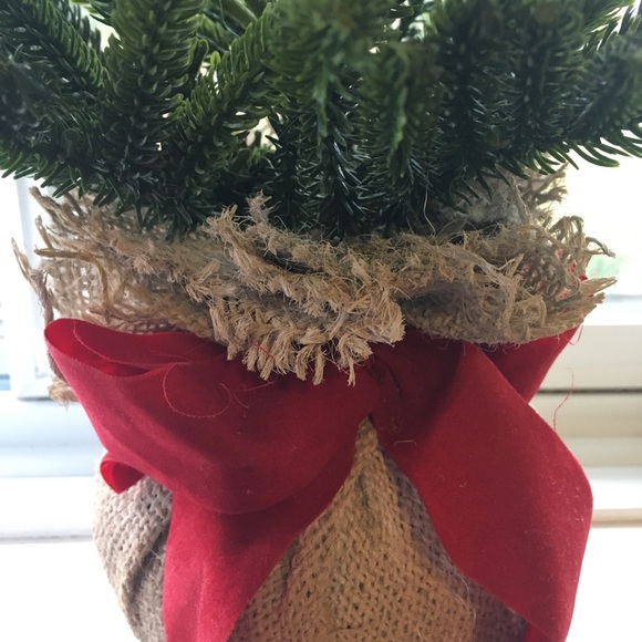 Festive Green Mini Christmas Tree with Red Burlap Base - Picture 3 of 7